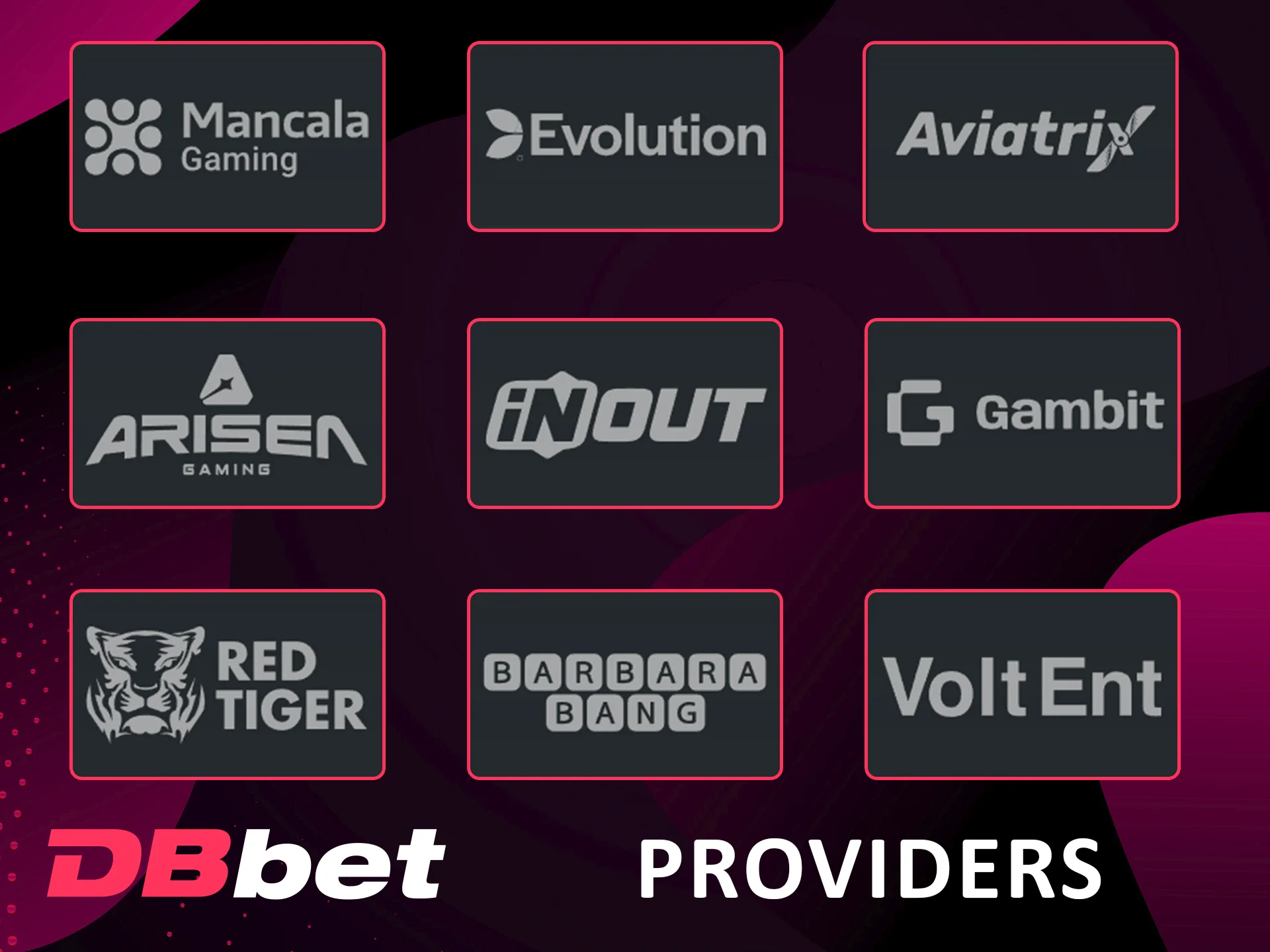 Top Software Providers for Dbbet Casino Gaming.